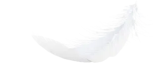 Feather Decor 10