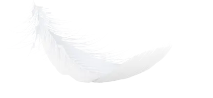 Feather Decor 4