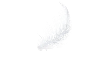 Feather Decor 5