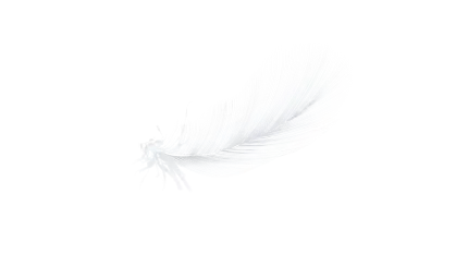 Feather Decor 6