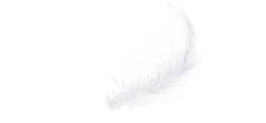 Feather Decor 9